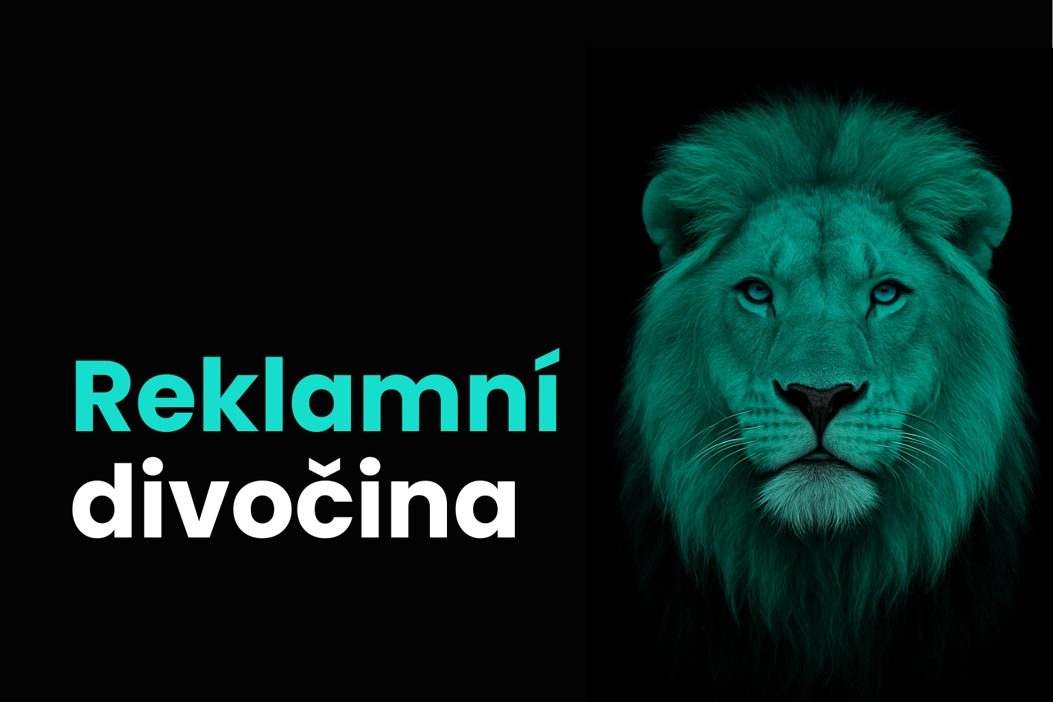 Reklamní divočina