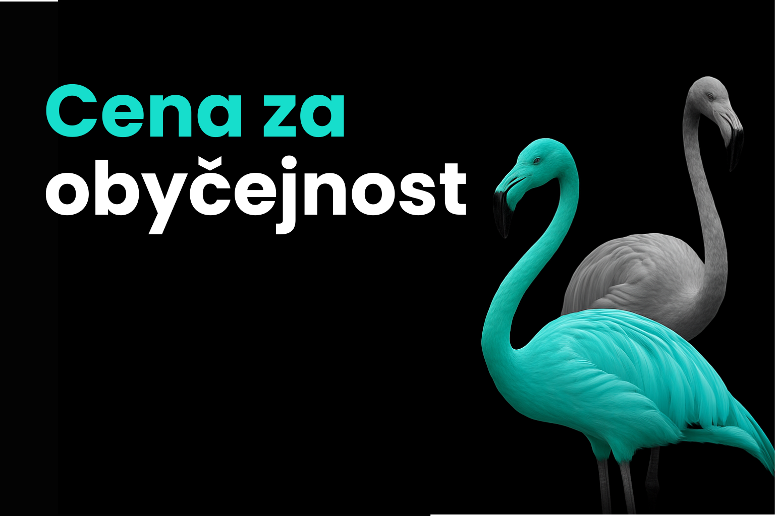 Cena za obyčejnost?