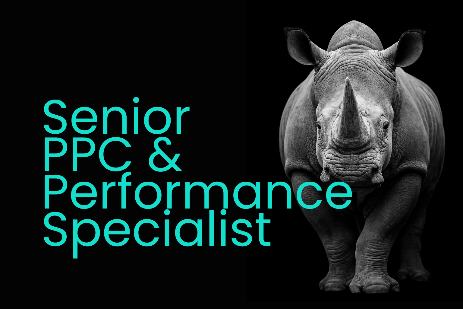 Senior PPC & Performance Specialist hiring