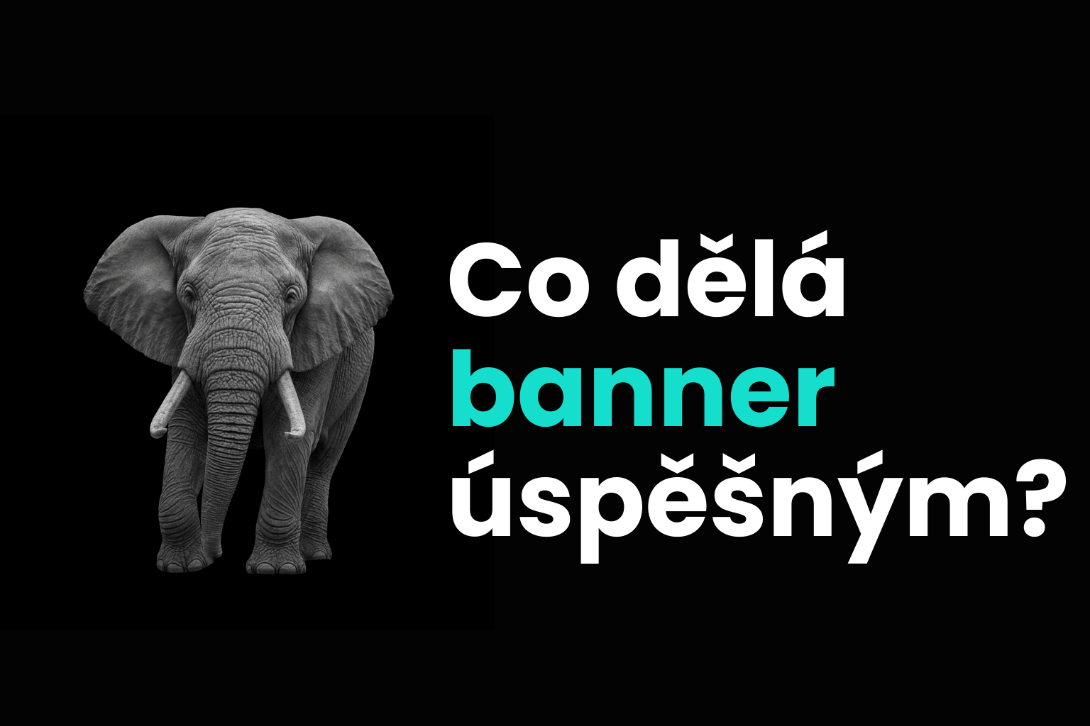 Co dělá banner úspěšným?